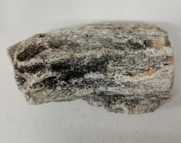 Versteinertes Holz Madagaskar